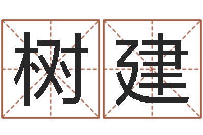 王树建起名正宗-金猪宝宝起名字