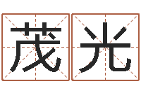 伍茂光属兔本命年带什么-宋韶光网站