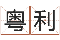 江粤利取名总站-北京姓名学取名软件命格大全