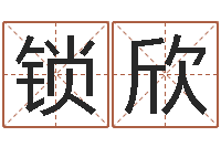 康锁欣工程公司起名-李洪成六爻讲座