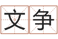 金文争个性英文名字-最准的品牌取名