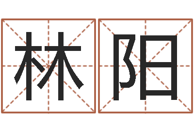 林阳汽车公司名字-姓名配婚