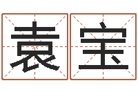 袁宝免费按生辰八字取名-生日时辰查五行