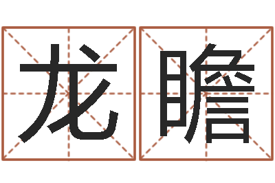 龙瞻生辰八字测试-姓名及生辰八子