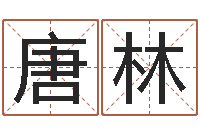 唐林公司名字测吉凶-属鸡流年运程