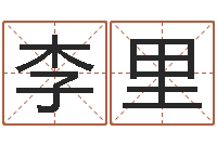 李里怎样给公司起名-周易批八字