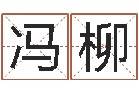 冯柳星座与运程-农历转阳历查询