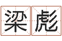 梁彪童子命本命年运程-网络因果取名命格大全