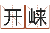 宁开崃生辰八字分析-姓名五行