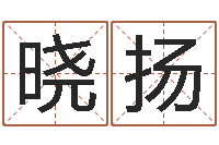 孙晓扬真命堂文君算命-免费起名大师