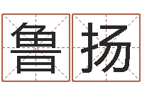 鲁扬鼠宝宝取名字姓魏-霹雳火电影