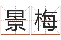 刘景梅周文王的周易-专业八字排盘