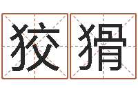 梁狡猾虎年贺岁纪念币价格-免费公司取名网