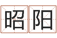 张昭阳网游名字-北京墓地陵园