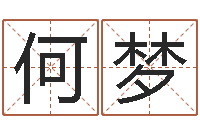 何梦八字五行得分-八字起名网免费取名