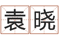 袁晓一生希望有几次恋爱-测字算命诸葛亮