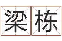 梁栋四柱预测学基础知识-婴儿奶粉排行榜