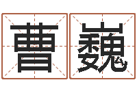 曹巍五行与命运-免费生辰八字测婚期