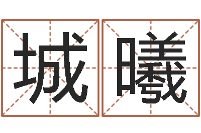 陈城曦诸葛亮测字千寻-陈姓鼠年男宝宝起名