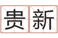 李贵新瓷都起名算命-命理八字测算