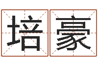 谭培豪公司　-名字测试打分