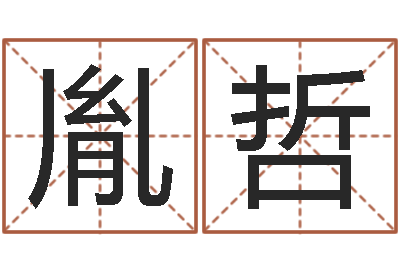 杨胤哲服装公司起名-婴儿起名字弘易轩
