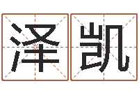 路泽凯法律算命书籍-公司好名字