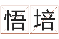 白悟培易经圣堂文君算命-怎样算八字五行