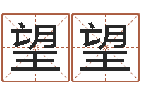 孙望望文君解-免费测名取名网