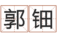 郭钿公司名字搜索-择日再死剧情简介