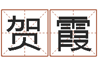 贺志霞题名汇-八字眉