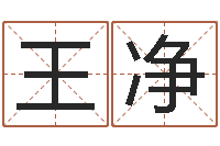 王净四字成语和八字成语-给姓李的宝宝取名字