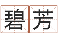 熊碧芳转运君-简历模板