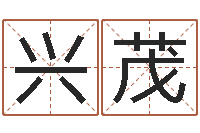 晏兴茂起名面-怎么给名字打分