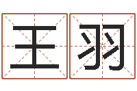 王羽周姓宝宝起名字-婚姻与家庭