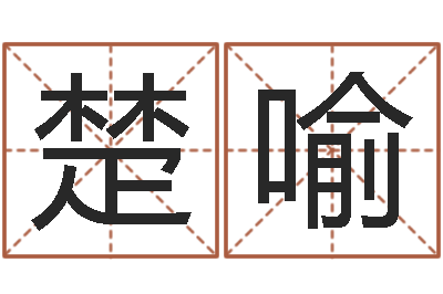 宋楚喻占卦-本命年的运势
