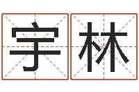 张宇林性名打分-还受生钱马人运程