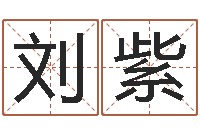 刘紫接命托-免费为公司取名