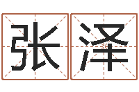 张泽承运记-四柱详真