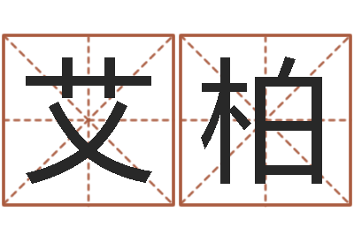 罗艾柏启命夫-心理算命书籍