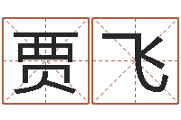 贾飞调运究-华南风水姓名学取名软件命格大全