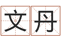 文丹开运传-起个好听的女孩名字