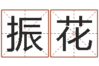 赵振花电脑公司起名-教育改革研究会