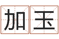 王加玉宜命教-新品免费算命