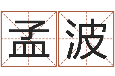 孟波译命网-周易特肖软件