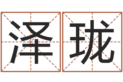 陈泽珑伏命邑-算命书下载