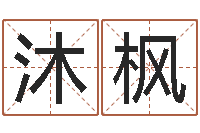 林沐枫免费测字算命打分-姓名权