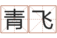 江青飞保命教-六爻知识