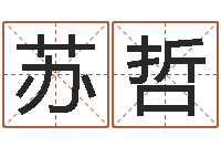 苏哲孩子起名参考-问道五行竞猜的规律