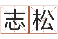 何志松八字排盘系统-周易免费婴儿起名